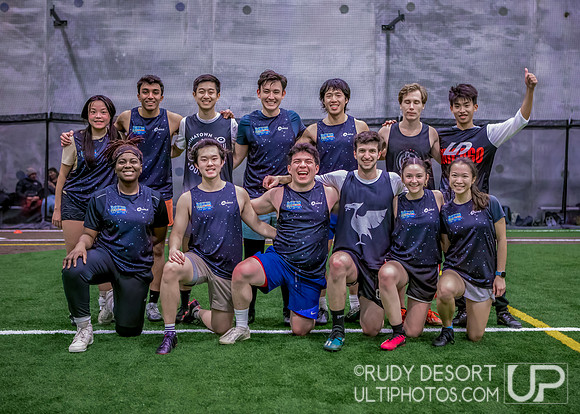 Chicago Indoor Ultimate League
