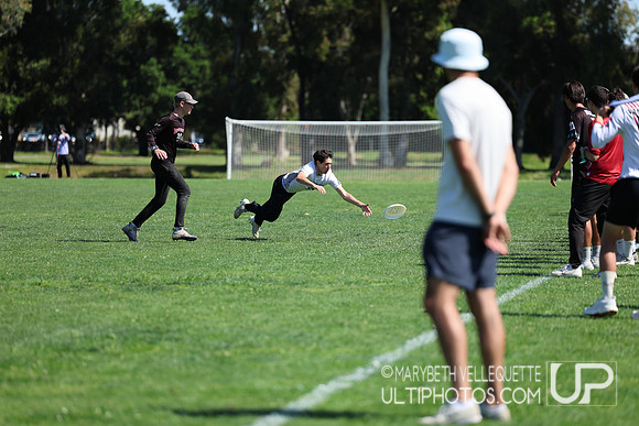 NorCal D1 Conference Championships