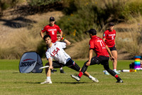 WFDF World Masters Ultimate Championships 2024