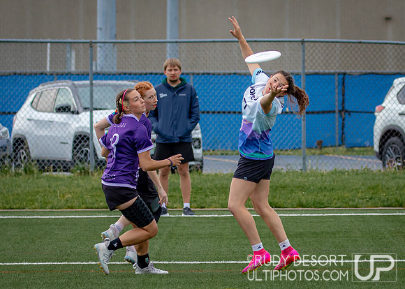 2024 USA Ultimate Division III College Championships ©