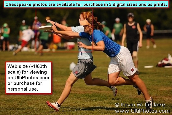 Photo Scale Explained