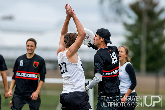 USA Ultimate Club National Championships
