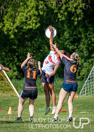 2024 USA Ultimate Division III College Championships ©