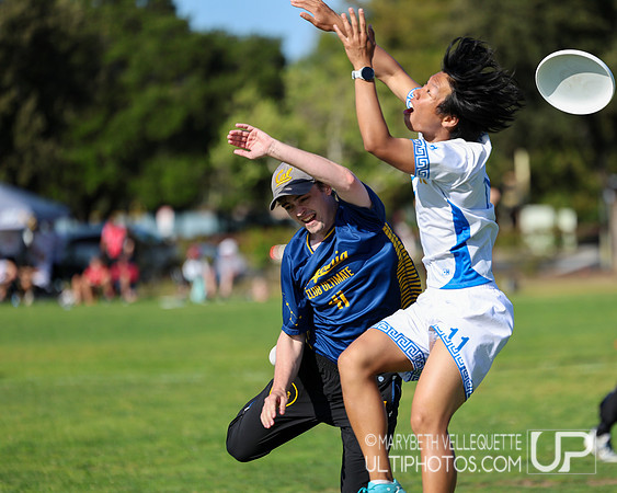 NorCal D1 Conference Championships