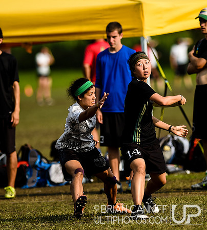 WUCC Day 6 Thursday play