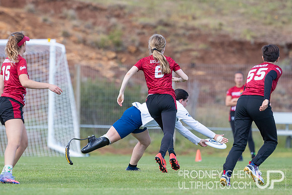 2022 USA Ultimate D1 NorCal Conference Championships