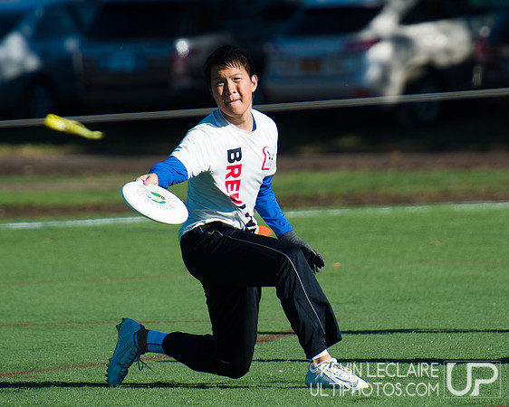 Harvard Ultimate Alumni v. current teams