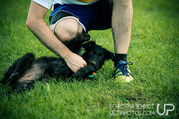Summer Ultimate League -- 2014