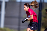 Day 4 of the WFDF 2024 World Masters Ultimate Championships
