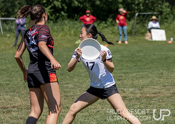 2024 USA Ultimate Division I College Championships ©