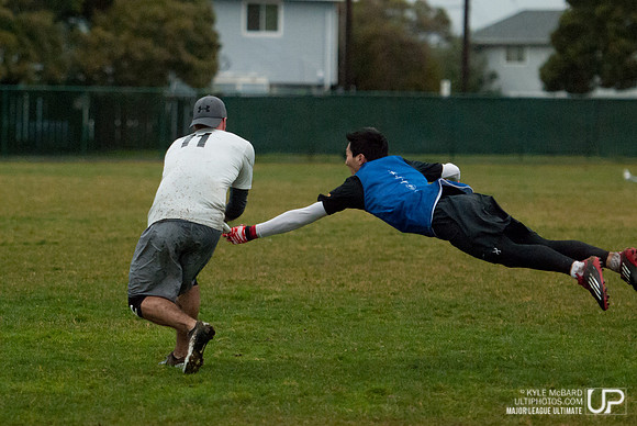 SF Dogfish Combine 2/8/2014