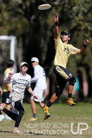 Warm Up: A Florida Affair
