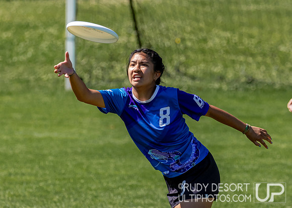 2024 USA Ultimate Division I College Championships ©