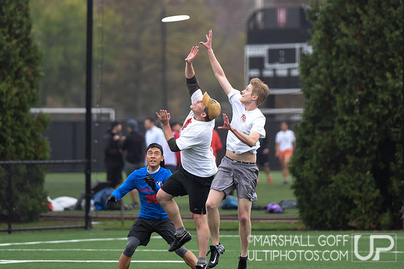 Harvard 40th Ultimate Reunion