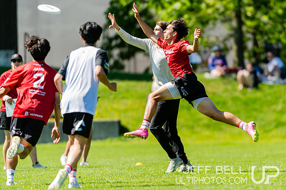 BC Ultimate - Disc Flicker 2024