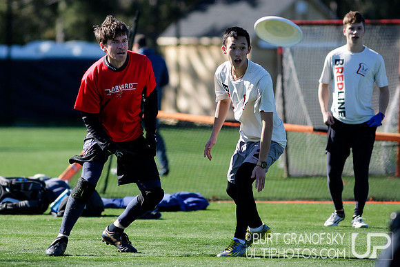 Bredline vs Alumni Game - Harvard Ultimate 40th Reunion