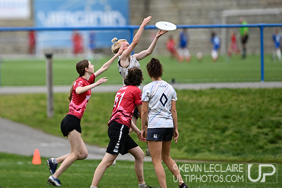 Alexandria vs Madison Girls Semi - VA HS States 2024