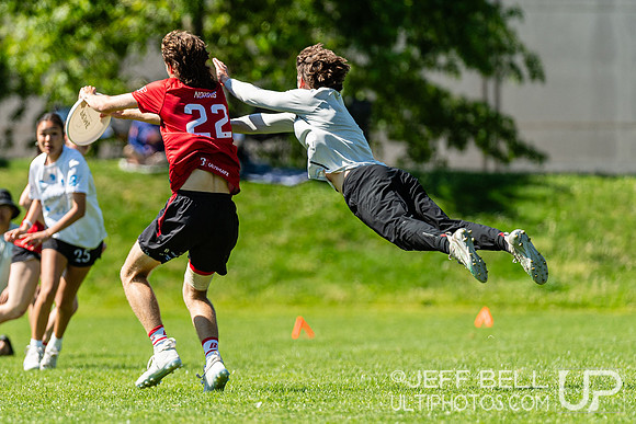 BC Ultimate - Disc Flicker 2024