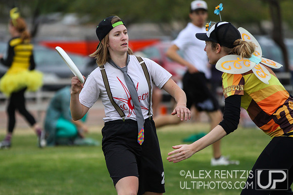 Hoasis 2014 from Tucson, Arizona Sat Dec 6