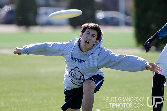 Bredline vs Alumni Game - Harvard Ultimate 40th Reunion