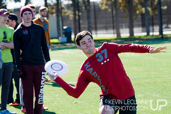 Harvard Ultimate Alumni v. current teams