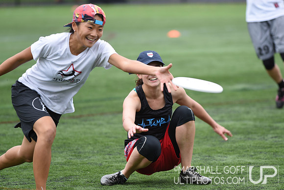 Harvard 40th Ultimate Reunion