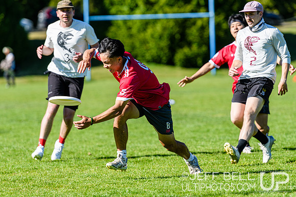 Vancouver Ultimate League
