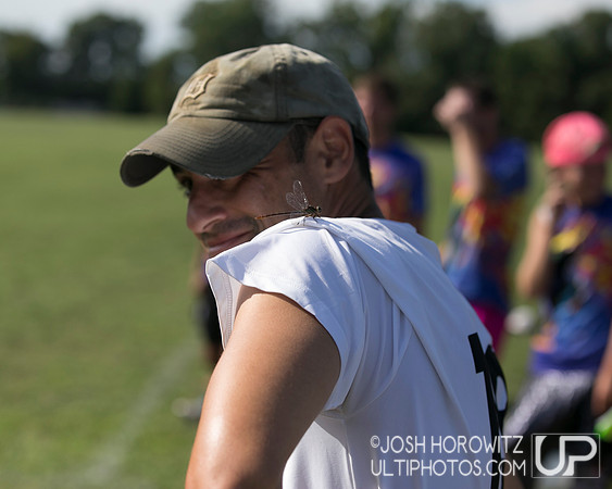 Capital Sectionals Sunday 2014