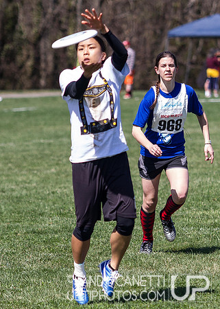Fools Fest 2014 Saturday Action