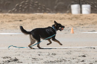 Saturday - 2025 Beach Championships