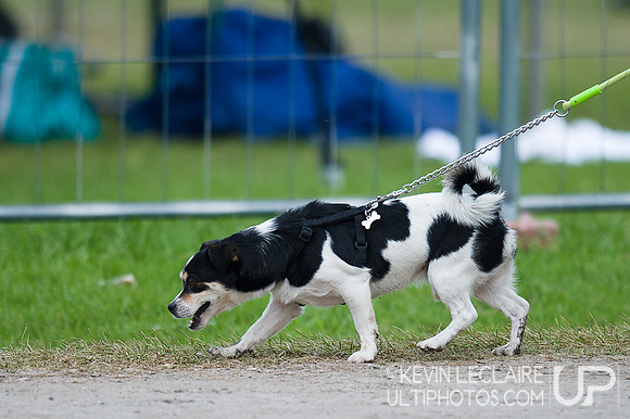 Friday WUCC 2014 Action