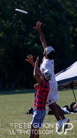Capitol Area Sectionals