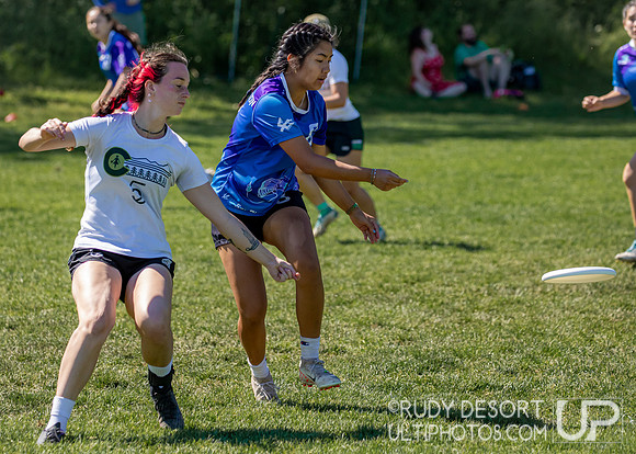 2024 USA Ultimate Division I College Championships ©