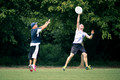 Summer Ultimate League EOST - Sunday - 2014