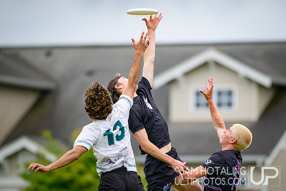 Highlights: Lewis & Clark Bacchus vs Middlebury Pranksters (M) in finals at USAU D-III College Championships