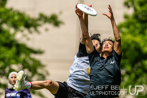 BC Ultimate - Disc Flicker 2024