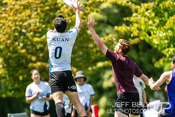 BC Ultimate - Disc Flicker 2024