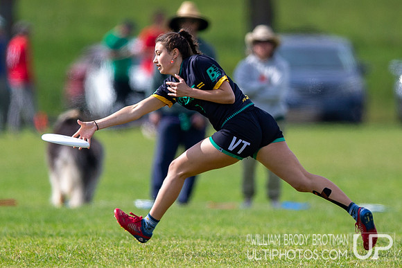 Day 3 of the USA Ultimate D-I College Championships