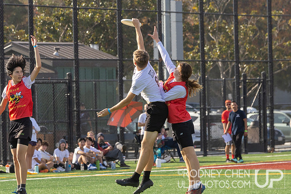 Bay Area Mixed High School Championships 2024