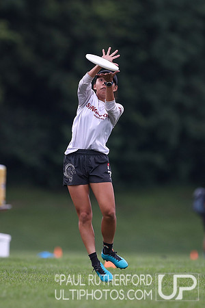 Salty and Pangolins at the 2022 World Ultimate Club Championships