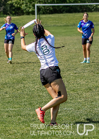 2024 USA Ultimate Division I College Championships ©