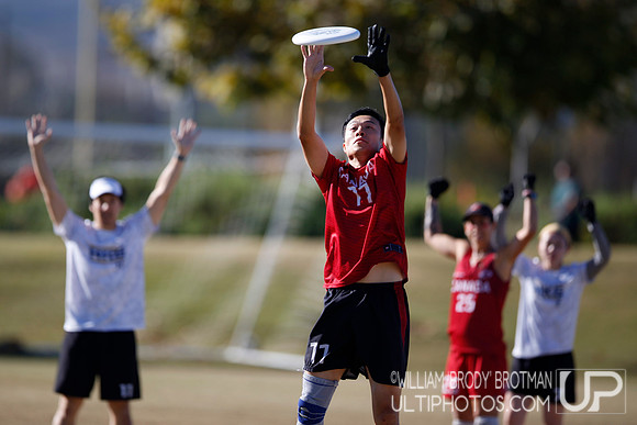 Day 5 of the WFDF 2024 World Masters Ultimate Championships