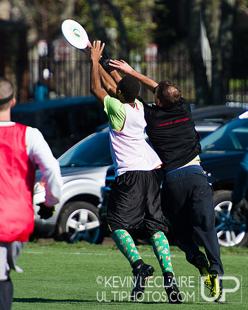 Harvard Ultimate Alumni v. current teams