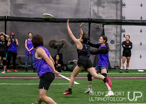 Season 2 Finals; Chicago Indoor Ultimate League
