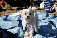 Saturday - 2025 Beach Championships
