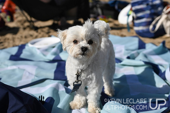 Saturday - 2025 Beach Championships