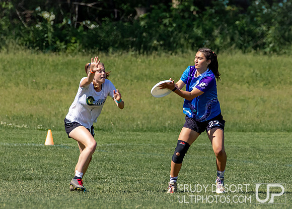 2024 USA Ultimate Division I College Championships ©