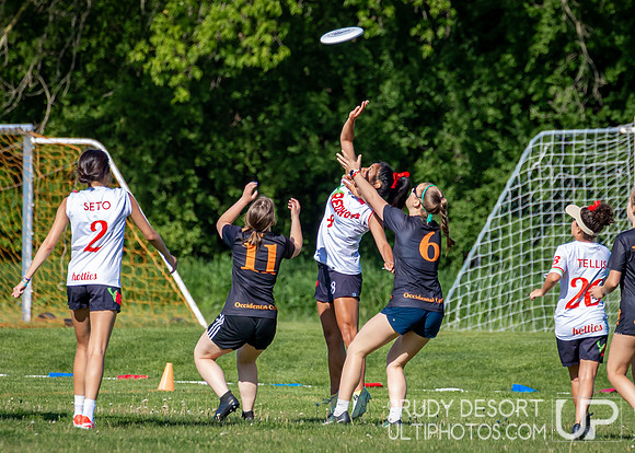 2024 USA Ultimate Division III College Championships ©