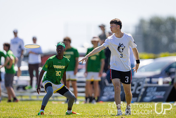 Saturday full coverage from USAU D-I College Championships, Oregon vs Northeastern