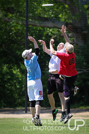Spring Ultimate League -- 2014